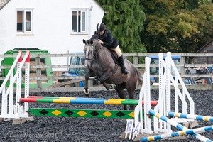 Class 3 -  Fences not above 2'3